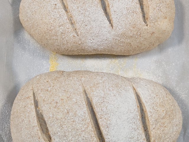 King Arthur Flour's Easiest Loaf